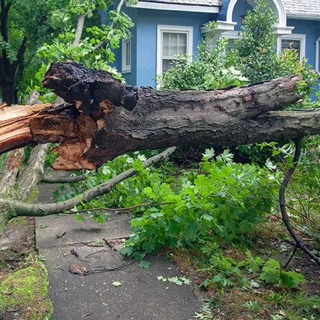 Windstorm Insurance